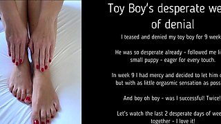 Toy Boy's hopeless weeks of denial I've teased and denied my plaything guy for nine hopeless weeks. He followed me like a puppy, avid to be caressed Finally I decided to whip out some cum - with the least orgasmic gusto possible. Loved it!