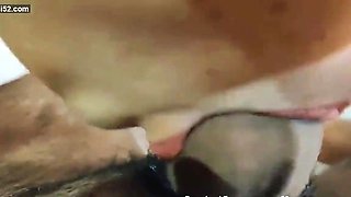 Awesome Hot Desi Blowjob with Hindi Audio and Cumshot Watch Awesome Hot Desi Blowjob with Hindi Audio and Cumshot episode on xHamster - the ultimate archive of free Indian Xxx Hot Tube HD porno tube episodes