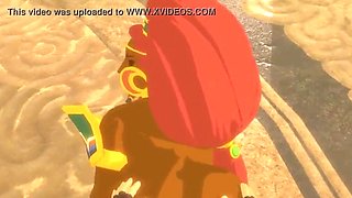 Link and Urbosa The glamour brief