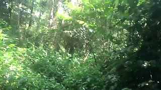 JOURNEY TO SAMBISA FOREST TO SAVED THE KING'S WIFE ( PART two ) AN AFRICAN BANG KING CAUGHT AT THE RIVER BANK FUCKING A VILLAGE MAIDEN ( FULL VIDEO ON XVIDEOS RED )