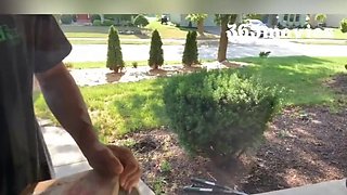 Package Delivery Driver Gets Lucky & Fucks Cops Wife (Married Cheating Blonde Cougar mother I'd like to fuck desires BBC)